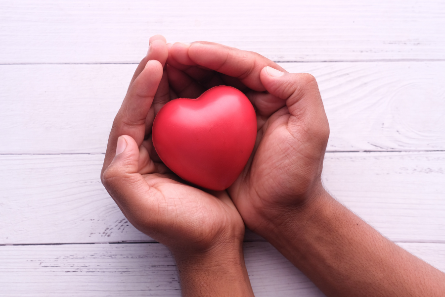 Hand holding heart, points to social services guide.