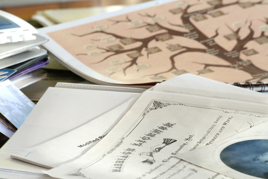 A pile of documents and a family tree.